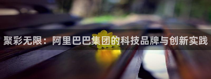 聚彩无限：阿里巴巴集团的科技品牌与创新实践