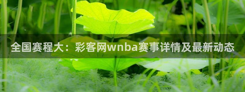 7790必发集团4开户：全国赛程大：彩客网wnba赛事详情及最新动态