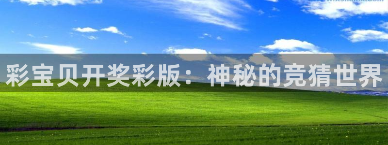 7790必发集团代理注册官网入口：彩宝贝开奖彩版：神秘的竞猜世界
