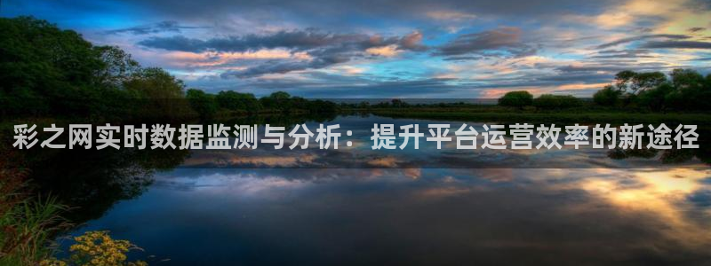 佛山市南海7790必发集团机电仪器有限公司：彩之网实时数据监测与分析：提升平台运营效率的新途径