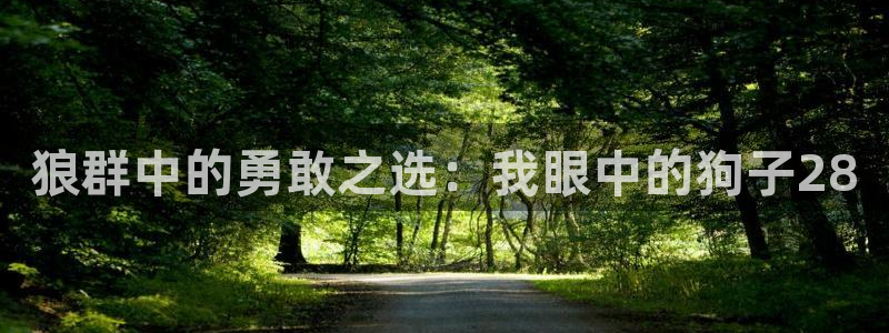 7790必发集团体育平台总代理：狼群中的勇敢之选：我眼中的狗子28