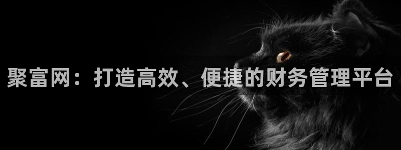7790必发集团体育凯捷平台主管：聚富网：打造高效、便捷的财务管理平台