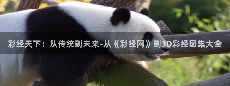 7790必发集团体育官网登录：彩经天下：从传统到未来-从《彩经网》到3D彩经图集大全