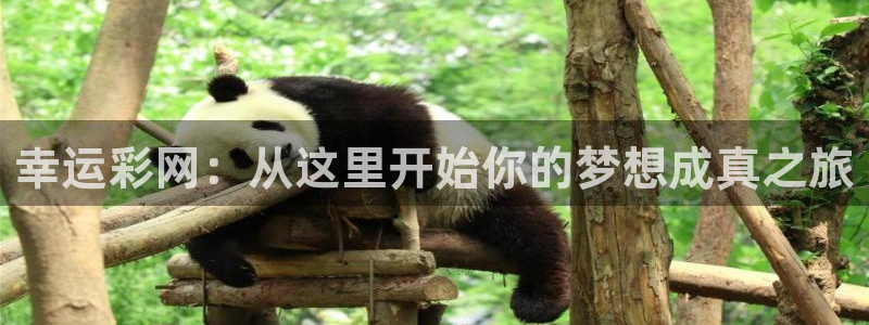 7790必发集团平台主管：幸运彩网：从这里开始你的梦想成真之旅