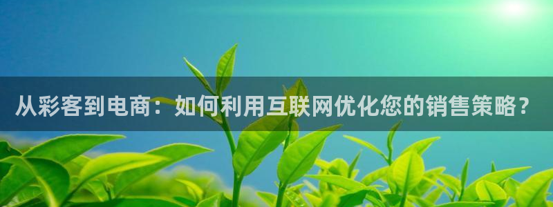 7790必发集团登录注册：从彩客到电商：如何利用互联网优化您的销售策略？