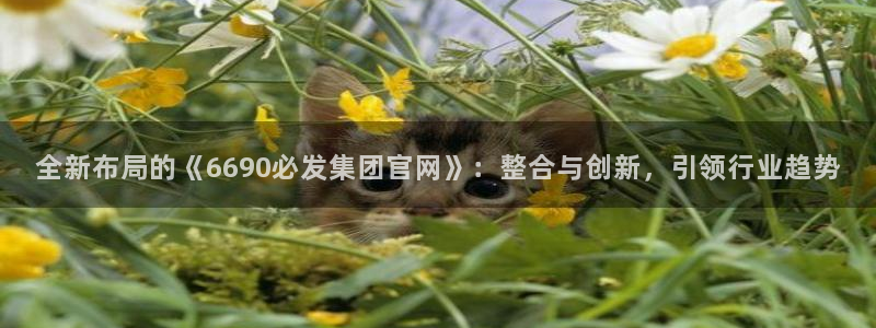 7790必发集团f平台注册：全新布局的《6690必发集团官网》：整合与创新，引领行业趋势